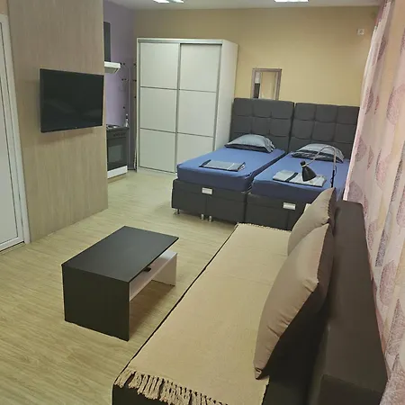 Apartment Leni2 U Centru Zajecara