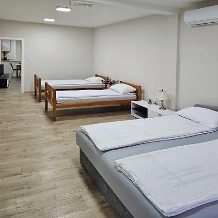 Leni2 U Centru Zajecara Zaječar