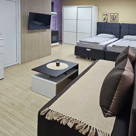 Leni2 U Centru Zajecara Apartment *