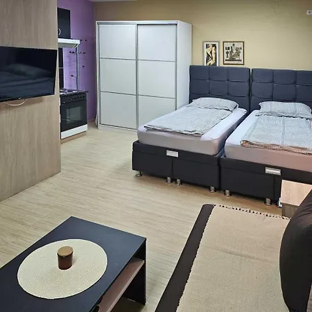 아파트 Leni2 U Centru Zajecara *