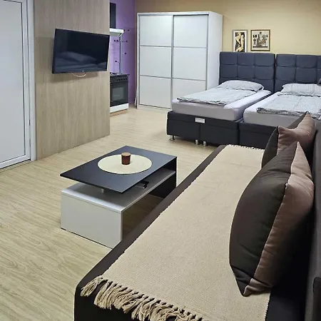 Leni2 U Centru Zajecara Apartment Zaječar