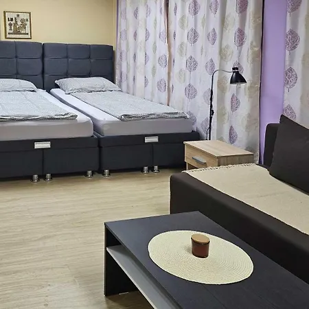 Leni2 U Centru Zajecara