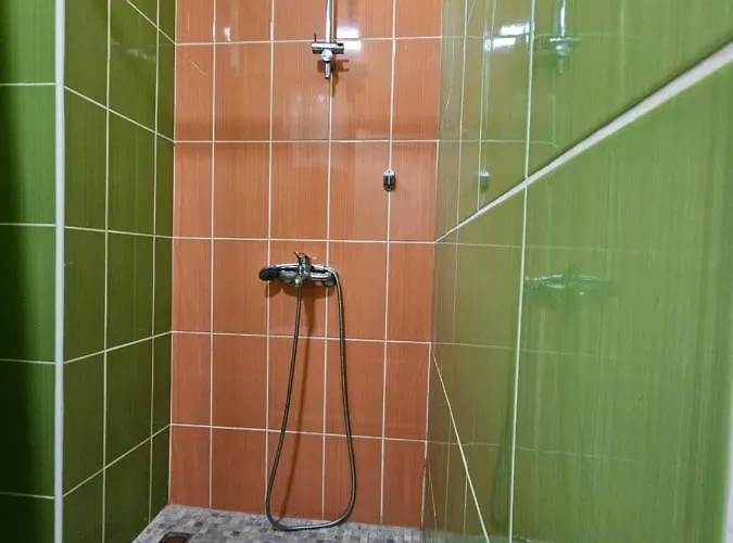 Apartman Leni2 U Centru Zajecara