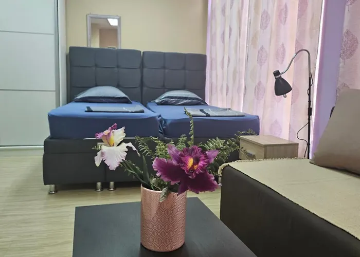 Leni2 U Centru Zajecara * Zaječar