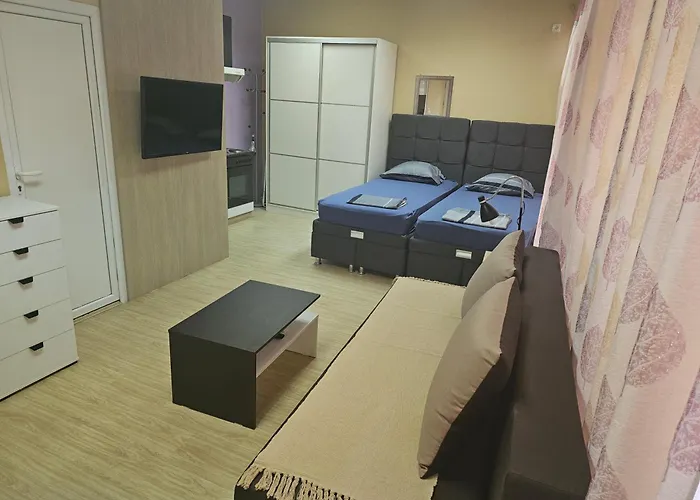 Apartman Leni2 U Centru Zajecara