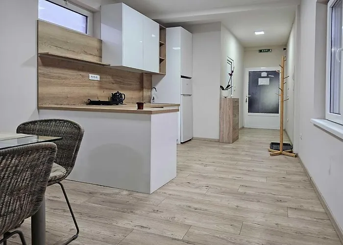 Leni2 U Centru Zajecara