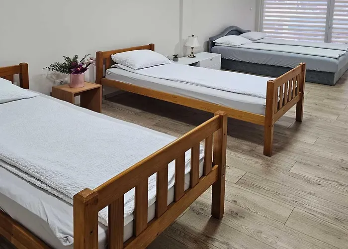 Leni2 U Centru Zajecara Apartman