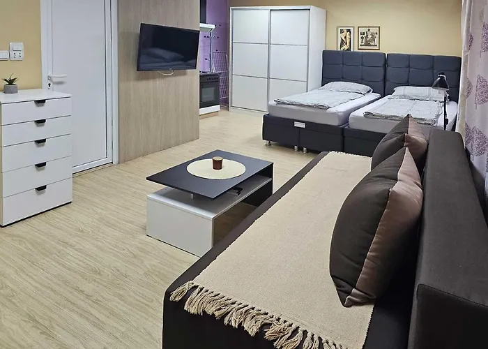 Leni2 U Centru Zajecara Apartman *