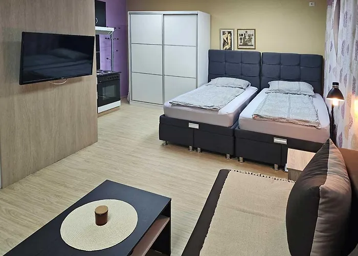 Apartman Leni2 U Centru Zajecara *