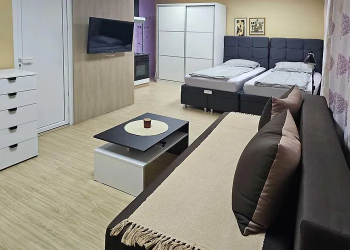 Leni2 U Centru Zajecara Apartman Zaječar