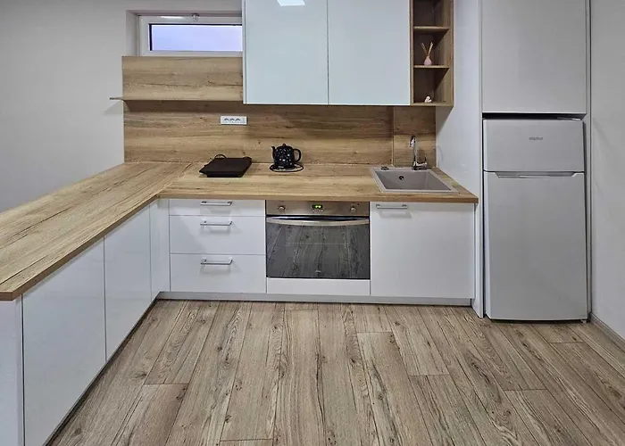 Leni2 U Centru Zajecara *