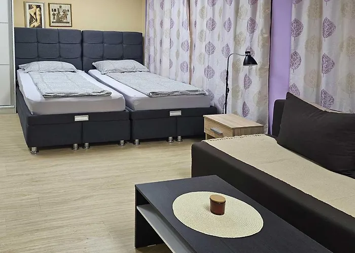 Leni2 U Centru Zajecara